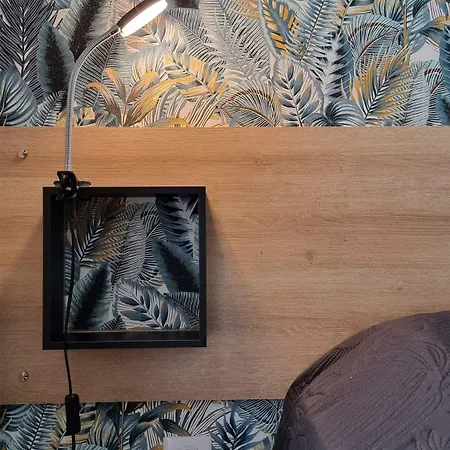 De La Coupiere Le Murier Appartement