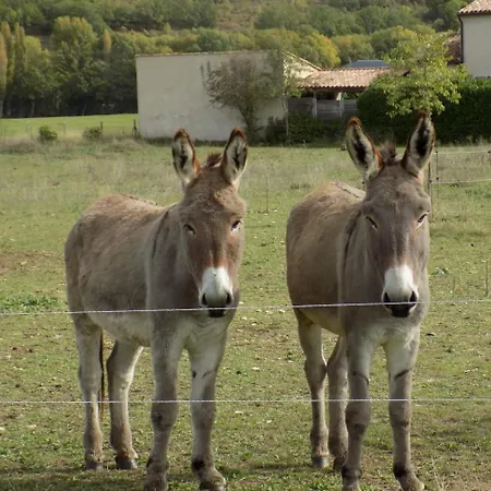 De La Coupiere Le Murier * Aubenas-les-Alpes